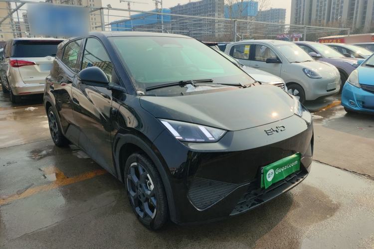 Used BYD Seagull 2025 Smart Drive Version 305 km Freedom Edition
