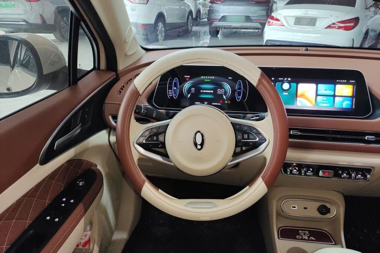 Used ORA Good Cat 2023 401 km Standard Range Luxury Version Lithium Iron Phosphate
