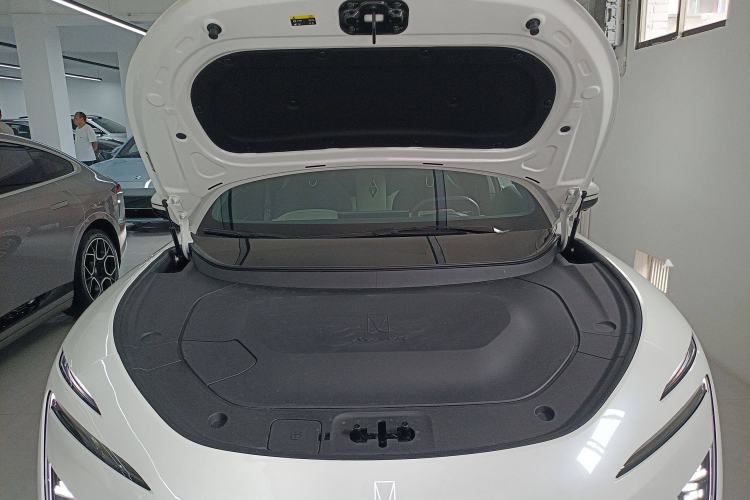 Used  12 2025 Max Extended-Range Edition
