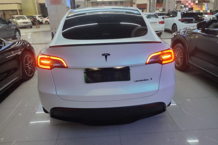 Used Tesla Model Y 2021 Standard Range Rear-Wheel Drive Version
