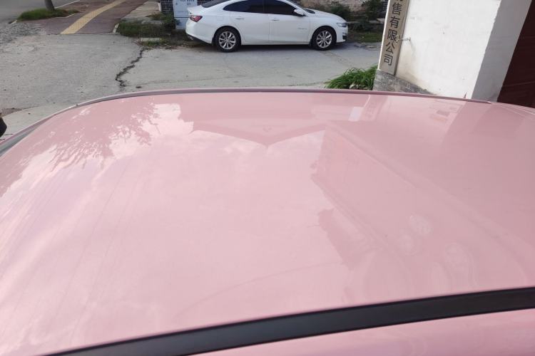 Used NETA V 2021 Witch Edition
