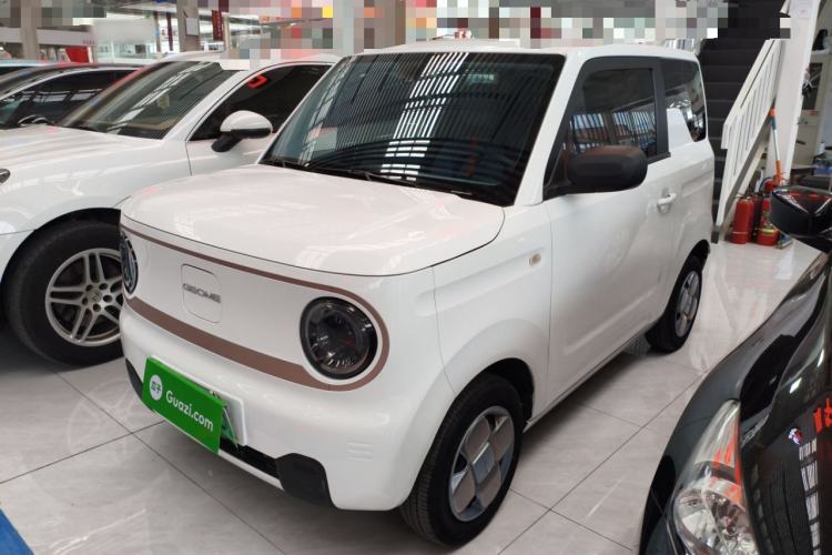 Used  Panda 2023 Panda Mini 200km Endurance Bear