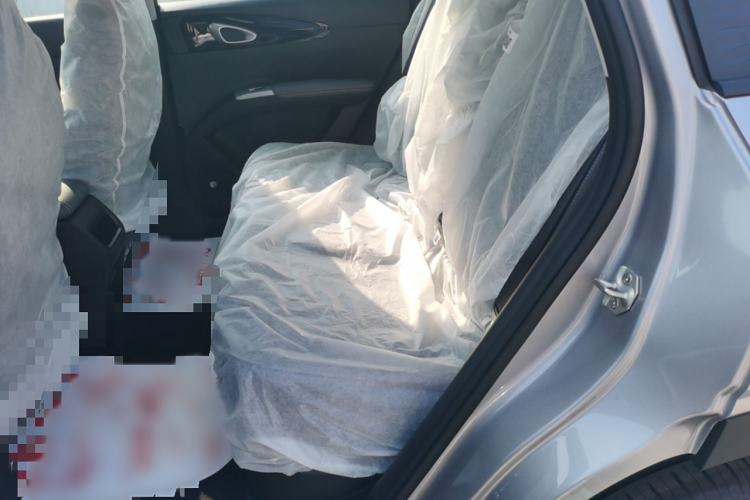 Used  Geome 2025 310km Dream Edition
