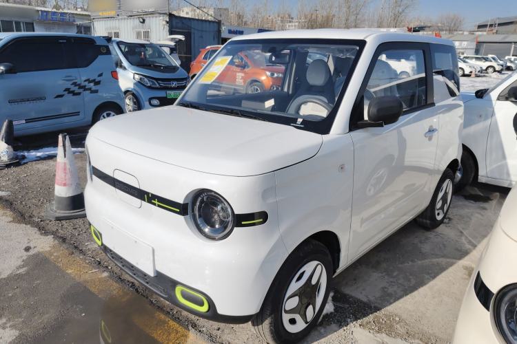 Used  Panda 2025 210 km – Yuanqi Bear
