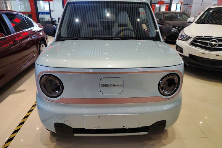 Used  Panda 2023 Panda Mini 200km Endurance Bear