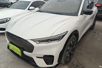 Used Ford Mustang Mach-E 2021 AION Y Plus Rear-Drive Luxury Edition (Long Range)