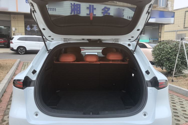 Used  S05 2026 Model 520Plus Pure Electric Edition
