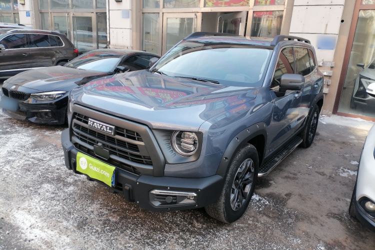 Used Haval DARGO 2024 2.0T DCT Chinese Rural Dog Edition