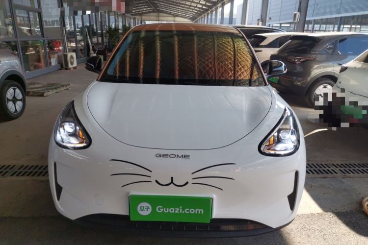 Used  Geome 2025 310km Youth Edition