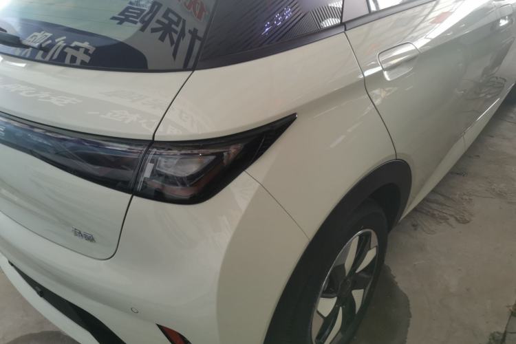Used BYD Dolphin 2025 420km Free Edition
