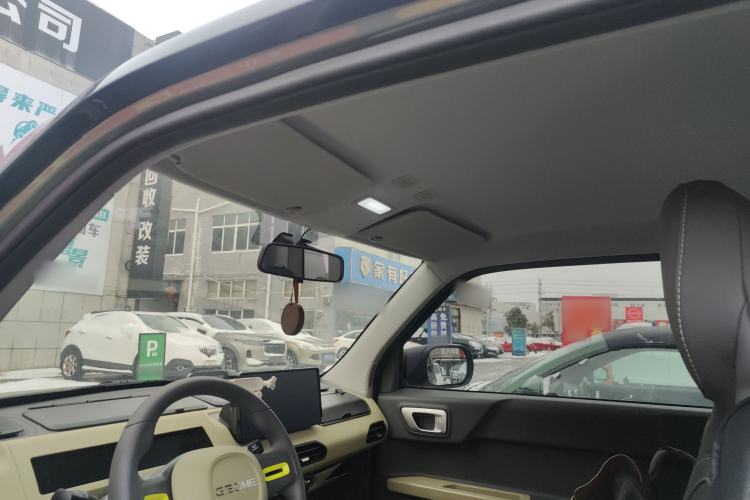 Used  Panda 2024 200km Panda Rider