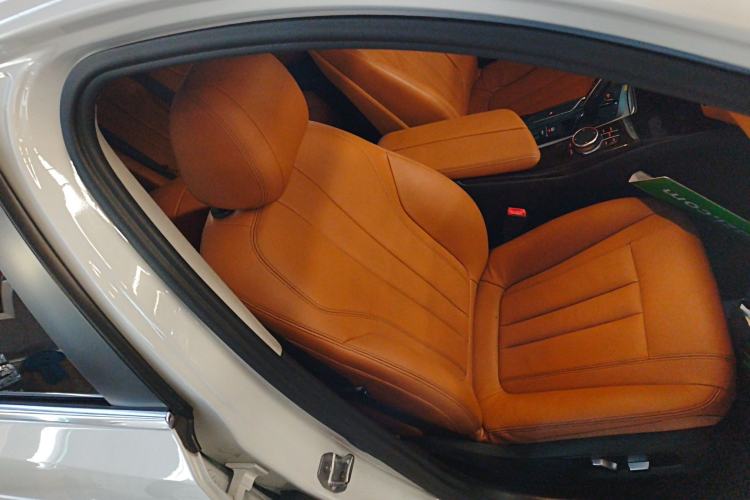 Used BMW 5 Series 2018 528Li Launch Special Edition