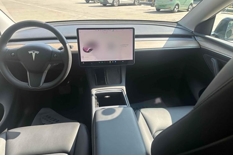 Used Tesla Model Y 2021 Standard Range Rear-Wheel Drive Version
