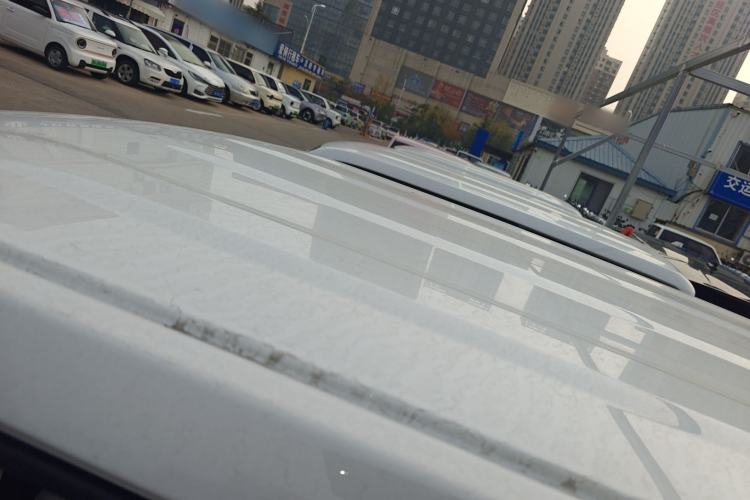 Used  Panda 2024 Panda Mini 200km Endurance Bear
