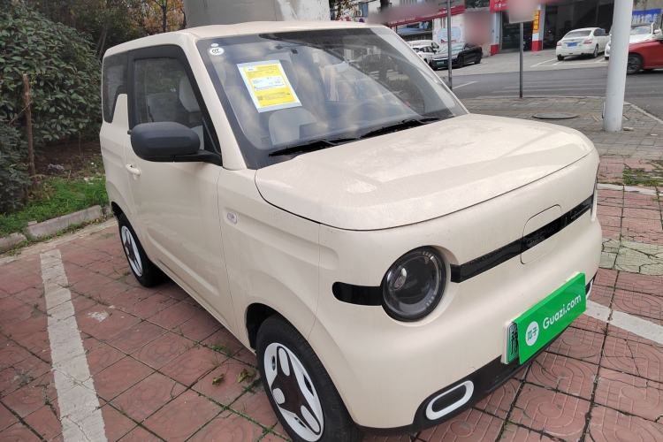 Used  Panda 2025 210 km – Yuanqi Bear
