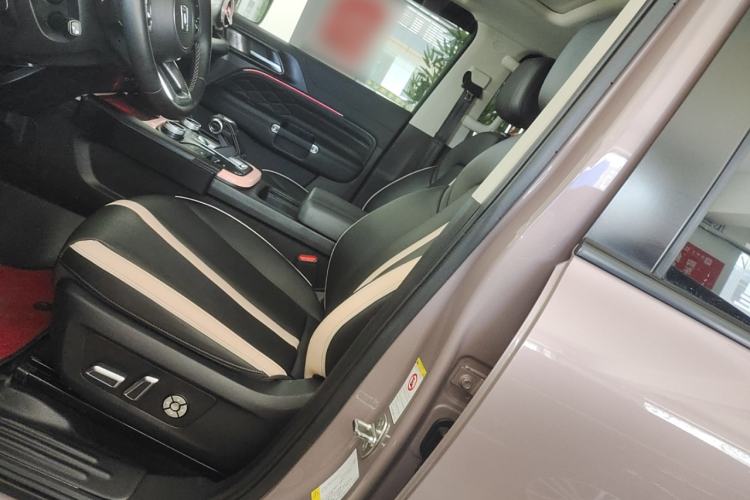 Used Tank 300 2021 City Edition 2.0T—Truly Stylish
