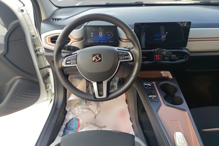 Used SOL E10X 2021 302 km Range Fashion Edition 30.2 kWh