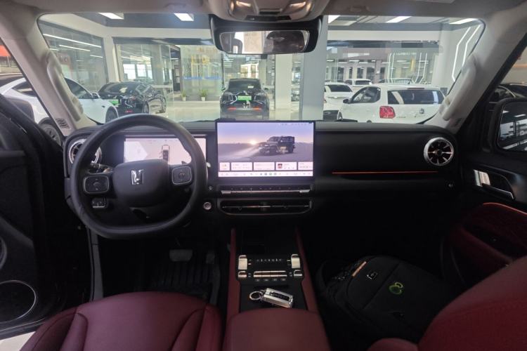 Used Tank 300 2025 2.0T Conqueror