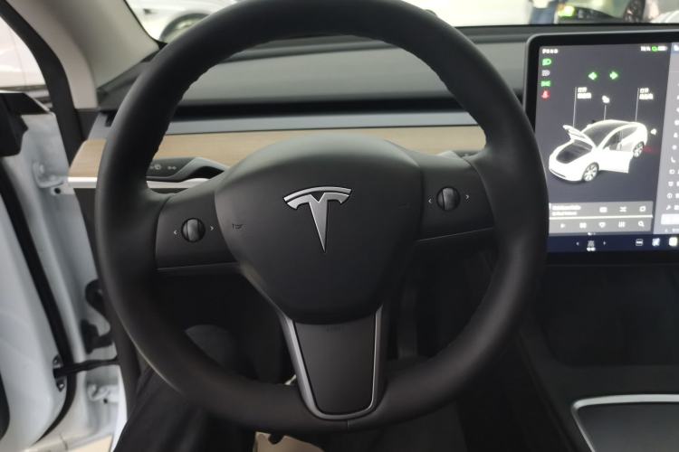 Used Tesla Model Y 2021 Standard Range Rear-Wheel Drive Version
