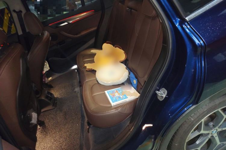 Used BMW X1 2018 xDrive20Li Luxury Edition