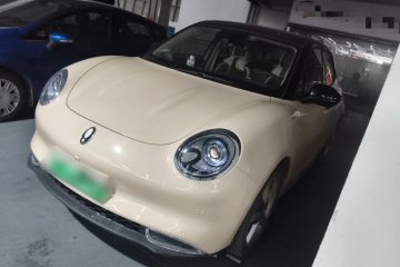 Used ORA Good Cat 2023 401 km Standard Range Luxury Version Lithium Iron Phosphate