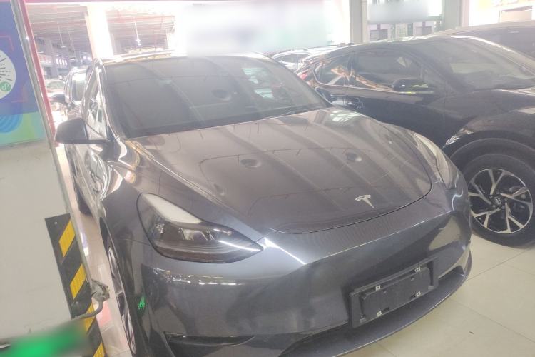 Used Tesla Model Y 2021 Standard Range Rear-Wheel Drive Version
