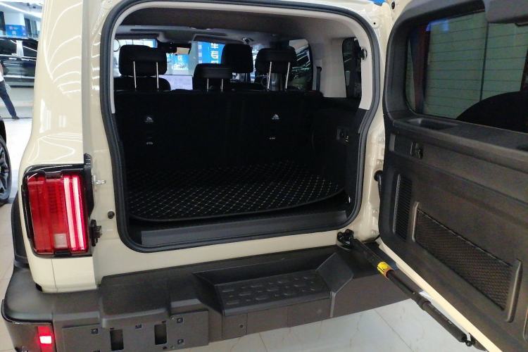 Used Tank 300 New Energy 2025 Hi4-T
