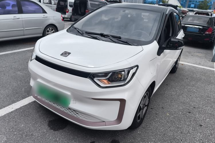 Used SOL E10X 2022 Flower Fairy Style Baby's Breath
