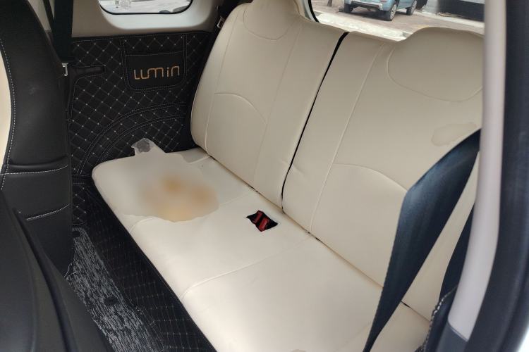 Used  Lumin 2025 205 km Xiangqin Version