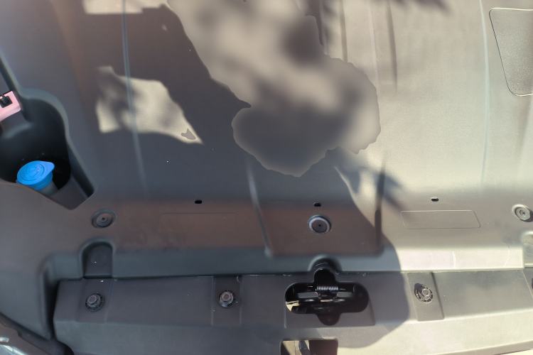 Used NETA V 2021 Witch Edition
