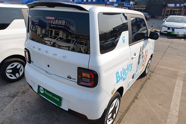 Used  Panda 2025 210 km – Yuanqi Bear
