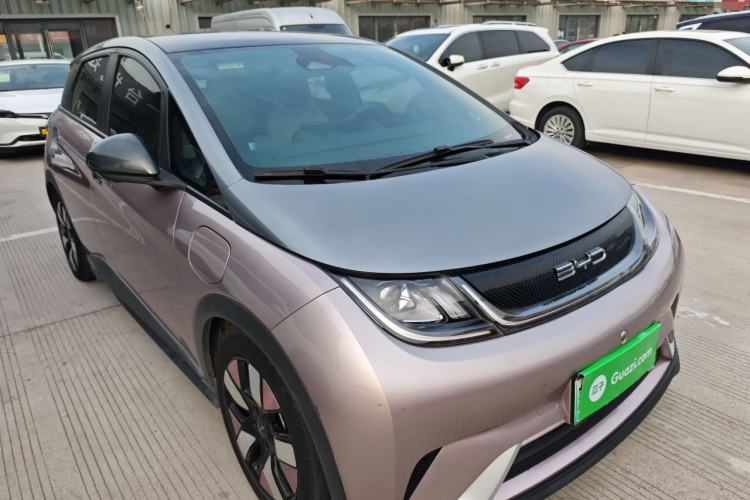 Used BYD Dolphin 2021 401km Knight Edition