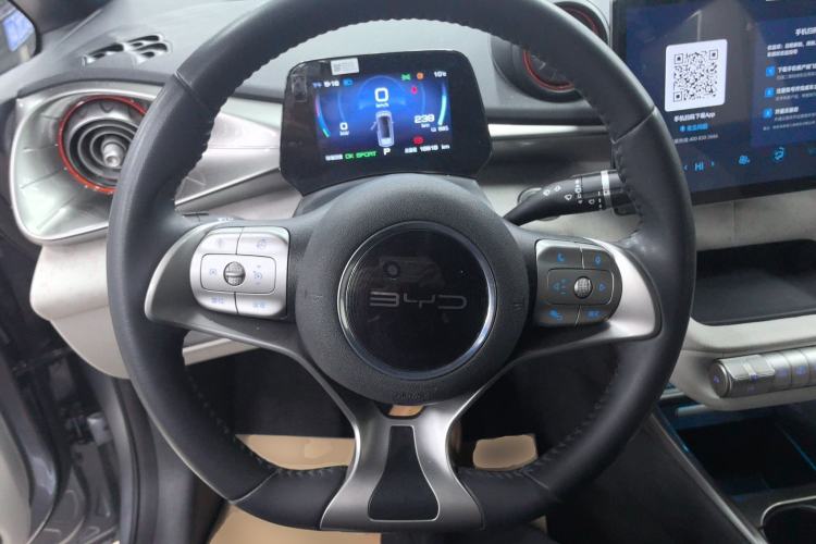 Used BYD Dolphin 2021 405 km Free Version