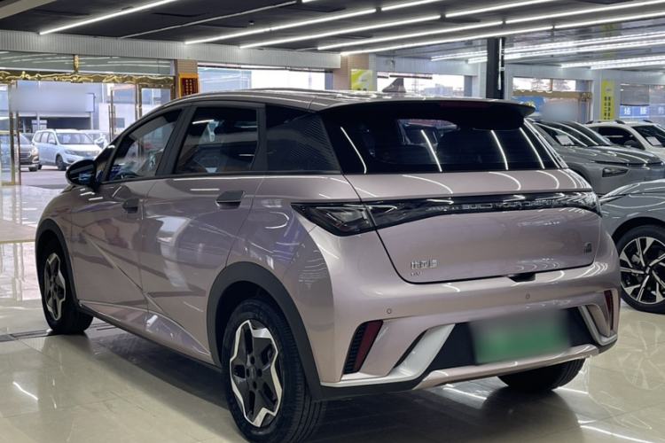 Used BYD Dolphin 2021 405 km Free Version
