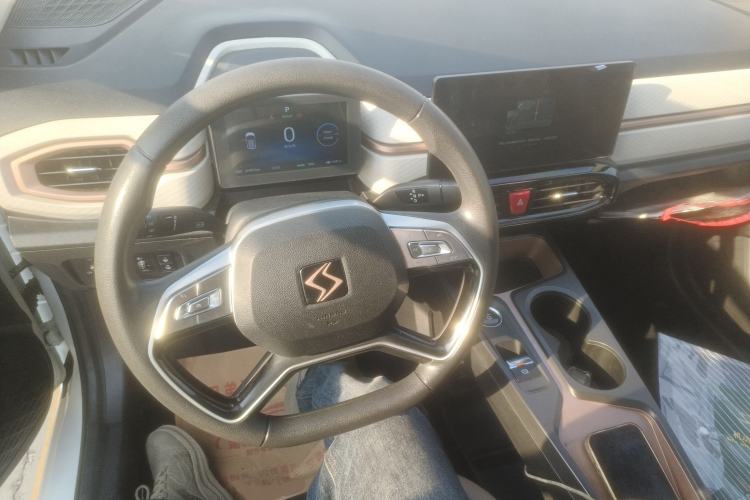 Used SOL E10X 2022 Flower Fairy Design Four-Leaf Clover