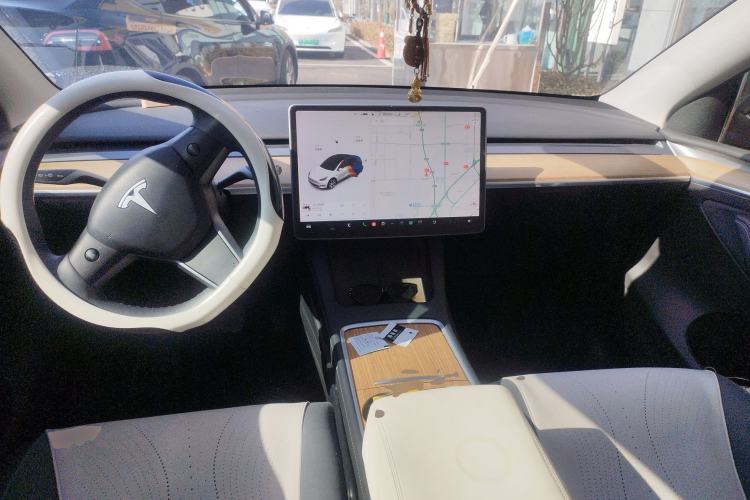 Used Tesla Model Y 2021 Standard Range Rear-Wheel Drive Version
