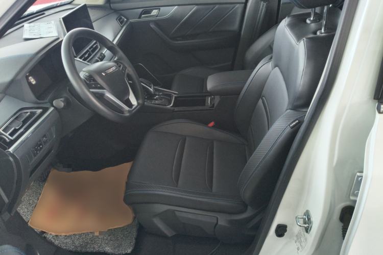 Used Venucia T60EV 2020 AI Enjoyment Model
