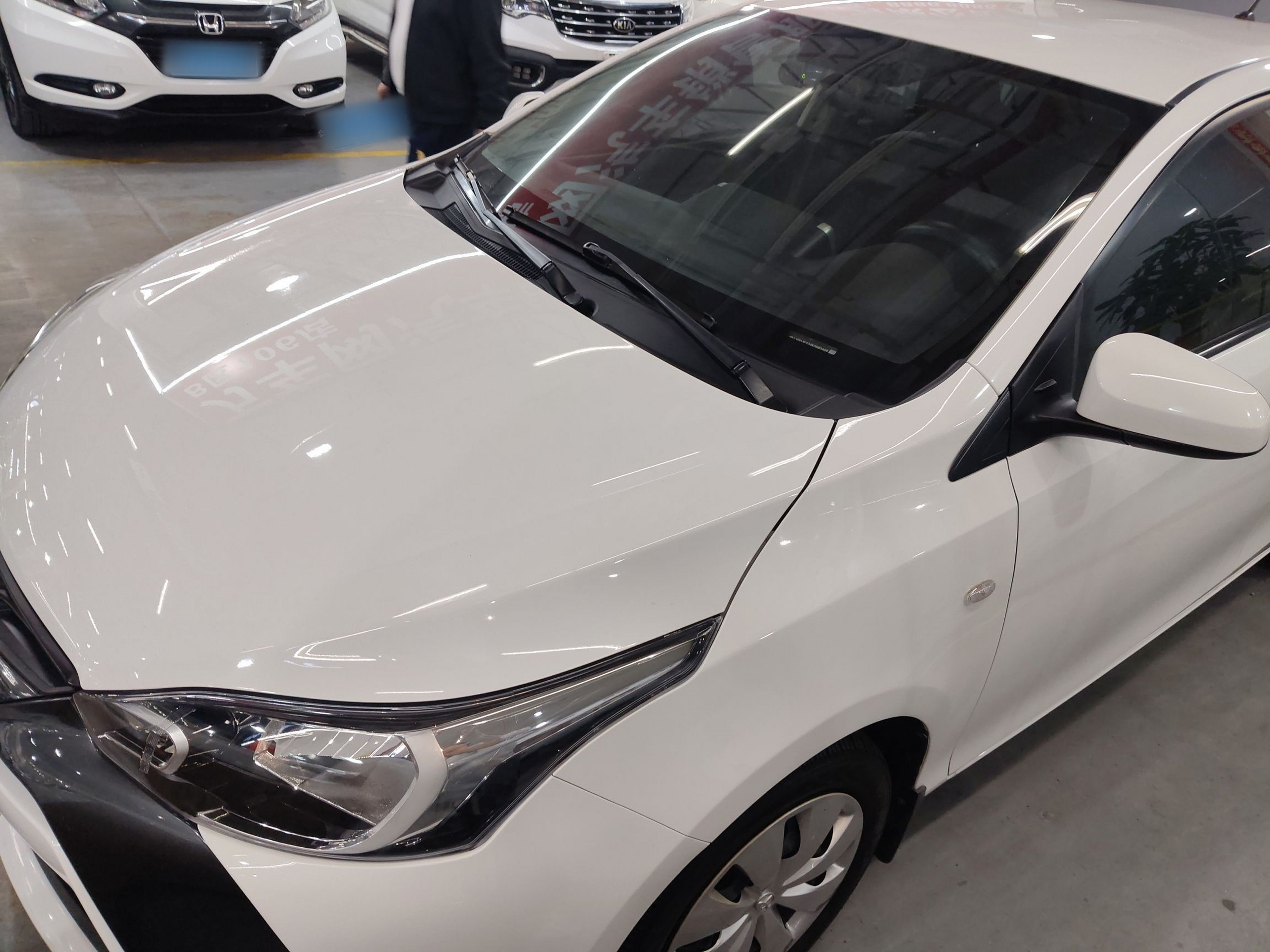 تحت مقدمة السيارة