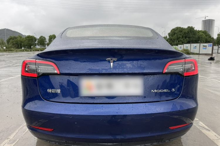 Used Tesla Model 3 2019 Standard Range Rear-Drive Upgraded Version
