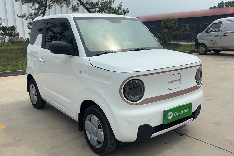 Used  Panda 2024 Panda Mini 200km Endurance Bear
