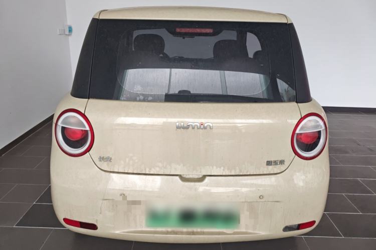 Used Qiyuan Lumin 2022 210km Sweet Edition