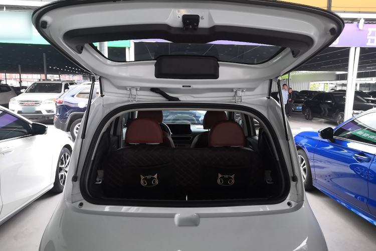 Used ORA White Cat 2020 305 km Luxury Version
