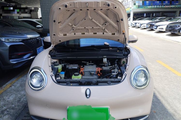 Used ORA Good Cat 2022 400km Standard Range Luxury Version Lithium Iron Phosphate
