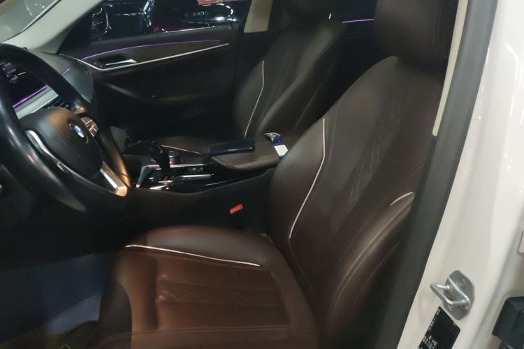 Used BMW 5 Series New Energy 2020 530Le Luxury Package
