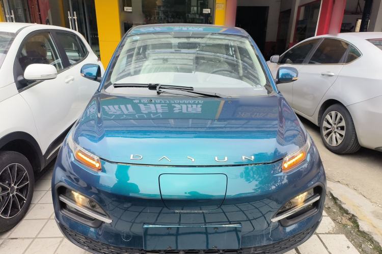 Used Dayun Yuehu 2023 230 Standard Edition
