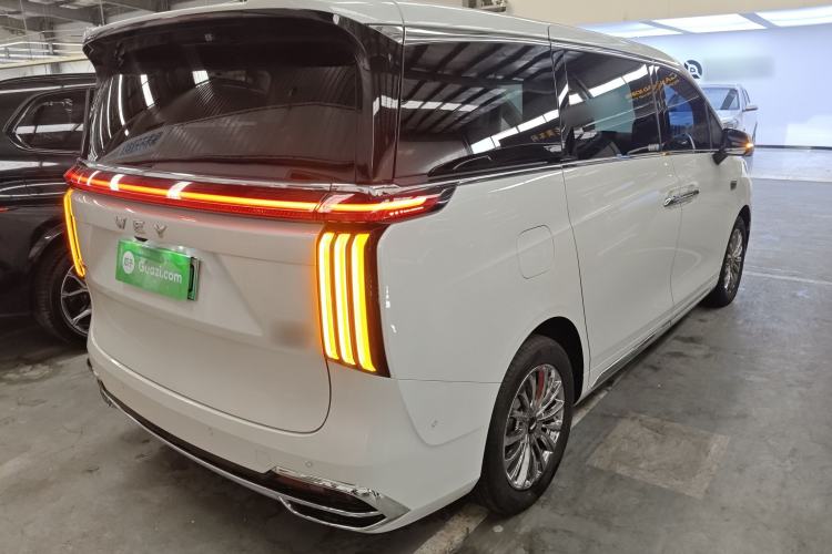 Used Wey Gaoshan 2023 Four-Wheel Drive Flagship Edition