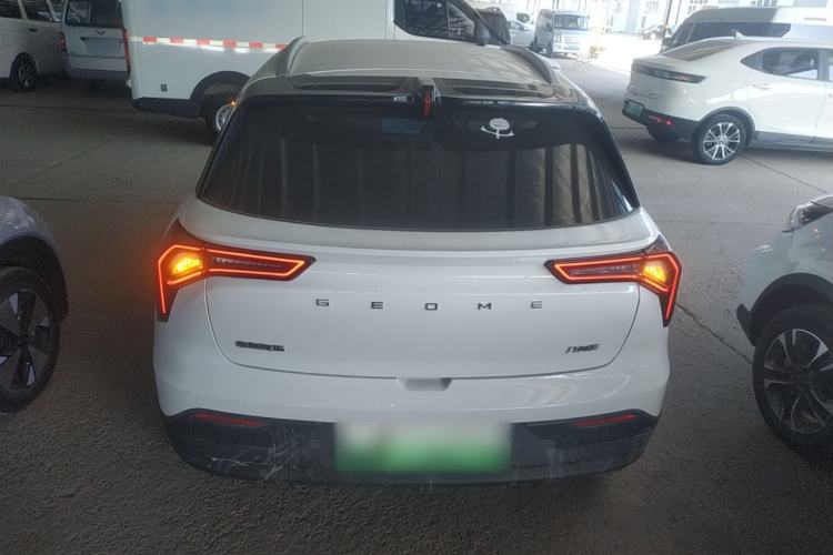 Used Geometry E Firefly 2024 401 km Fluorescent