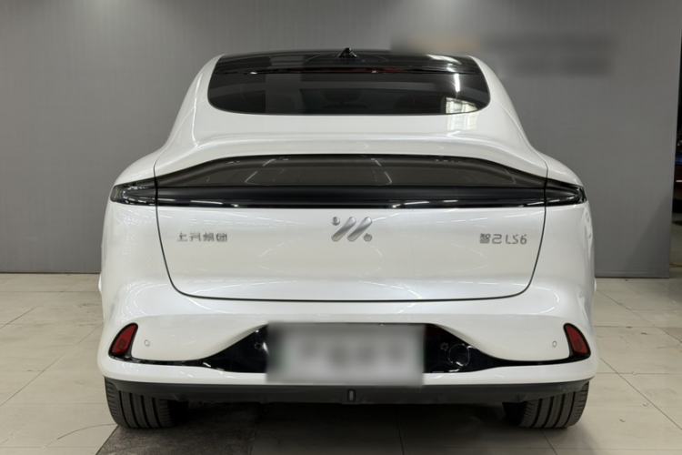 Used  LS6 2023 Max Standard Edition