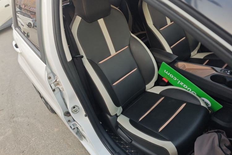 Used SOL E10X 2022 Flower Fairy Design Four-Leaf Clover