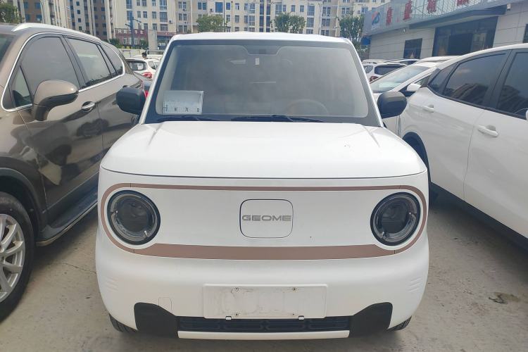 Used  Panda 2024 Panda Mini 200km Endurance Bear
